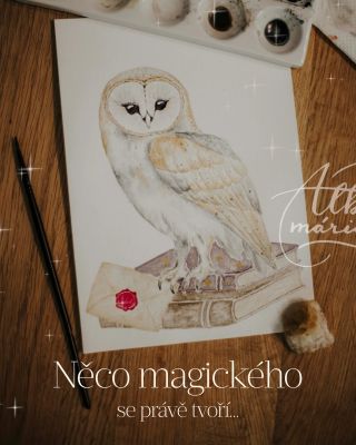 Začínám pracovat na novém motivu 🙋🏼‍♀️, inspirovaném světem magie. ✨🔮🪄